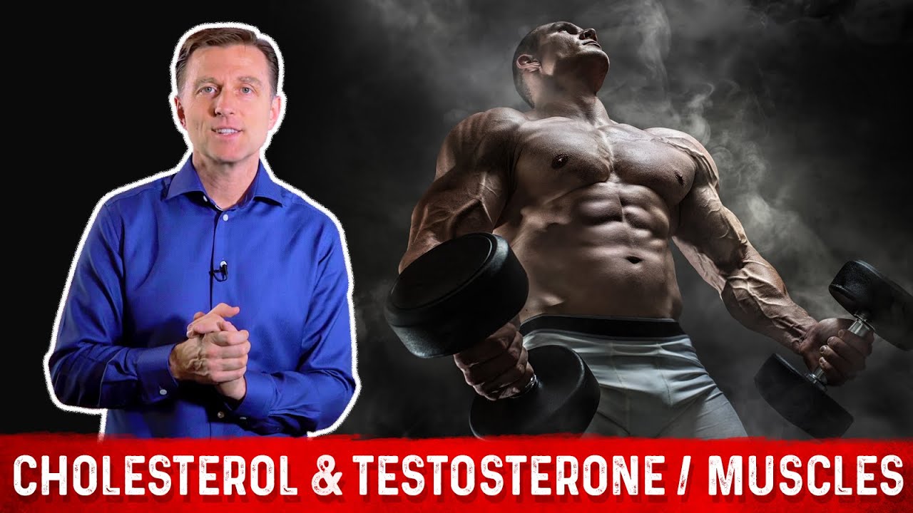 The Importance of Cholesterol for Your Muscles and Testosterone &ndash; Dr. Berg