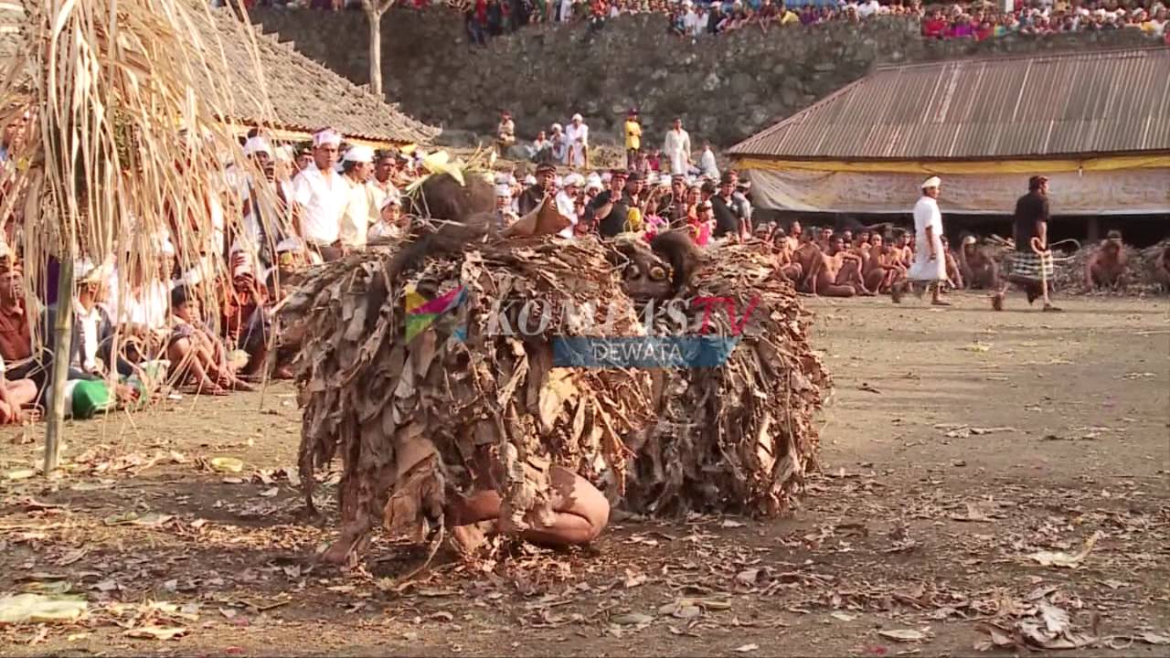 PENJAGA TERUNYAN  ( Barong Brutuk ) 6