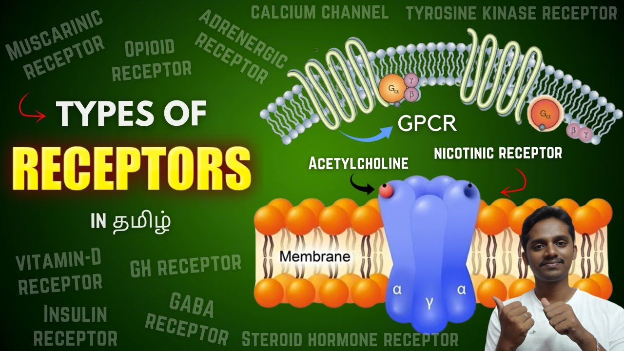 Types of Receptors in Tamil