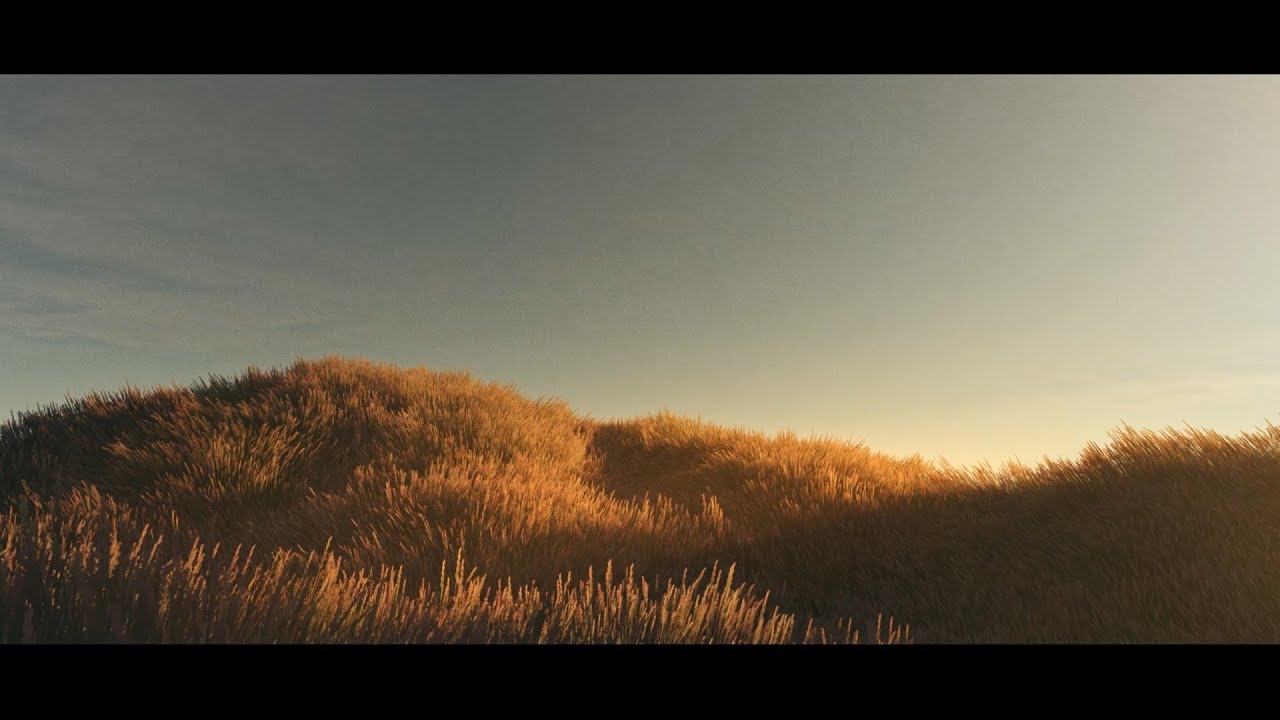 Wind in the Grass | Ambient Visualizer | 3D Simulation | #ambient #visualizer | 8 Hours