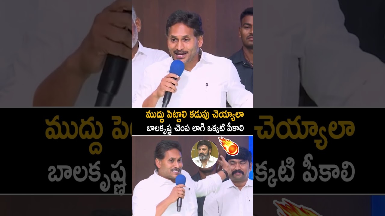 బాలకృష్ణ చెంప లాగి ఒక్కటి పీకాలి🔥 YS Jagan Sensational Comments On Balakrishna
