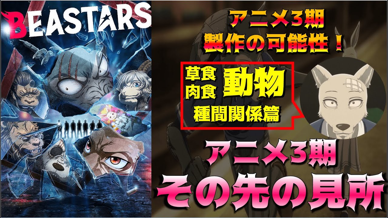 【ビースターズ 】3期製作はいつになる？製作予想と3期内容をネタバレ！