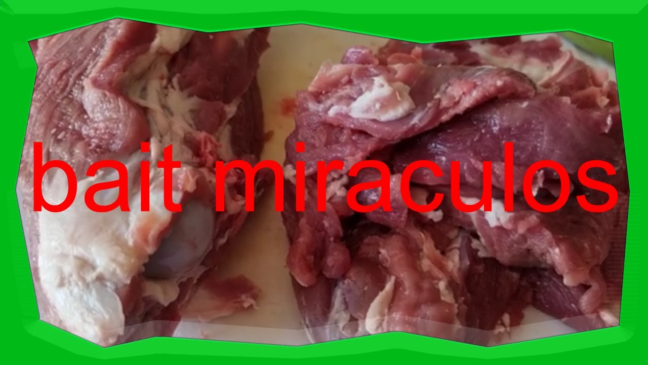 BAIȚUL CARE SCHIMBĂ GUSTUL la CARNEA DE MIEL . Toți vor mânca miel. garantat 100%