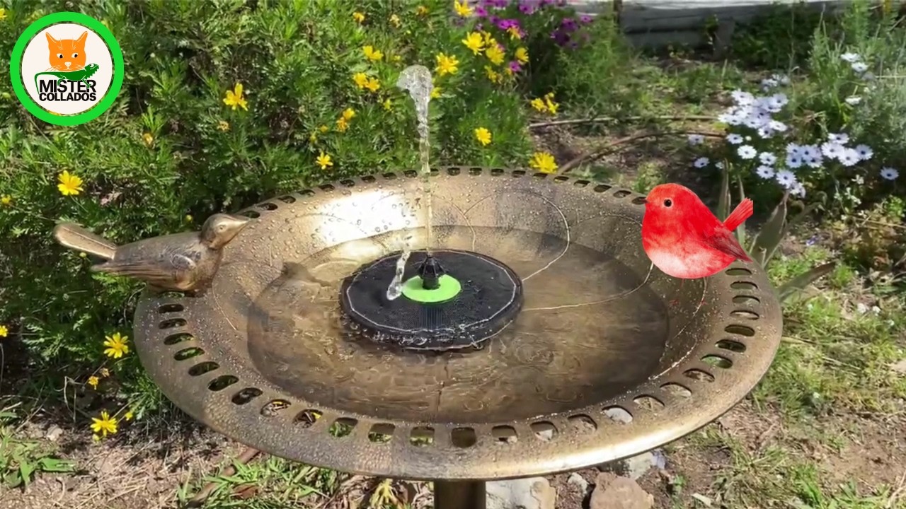Я купила лучший солнечный фонтанчик для птиц 🐦‍⬛