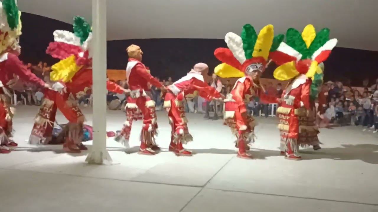 Danza Santa Cruz La OFICIAL DE Rincón De Romos Aguascalientes 🎻🥁 La Víborita