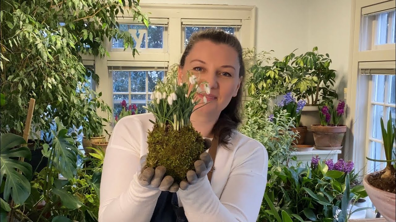 🌱 How to Make Snowdrop Kokedama - How to Divide Snowdrops 🌱
