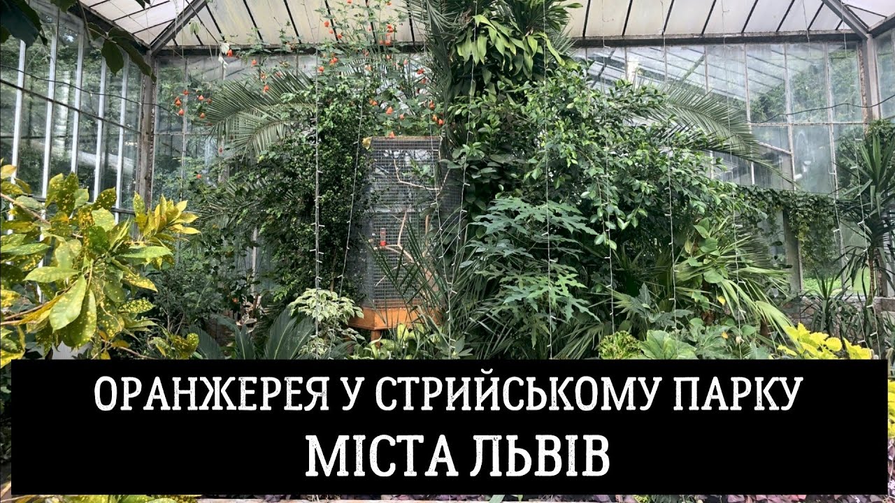 Оранжерея у Стрийському парку міста Львів