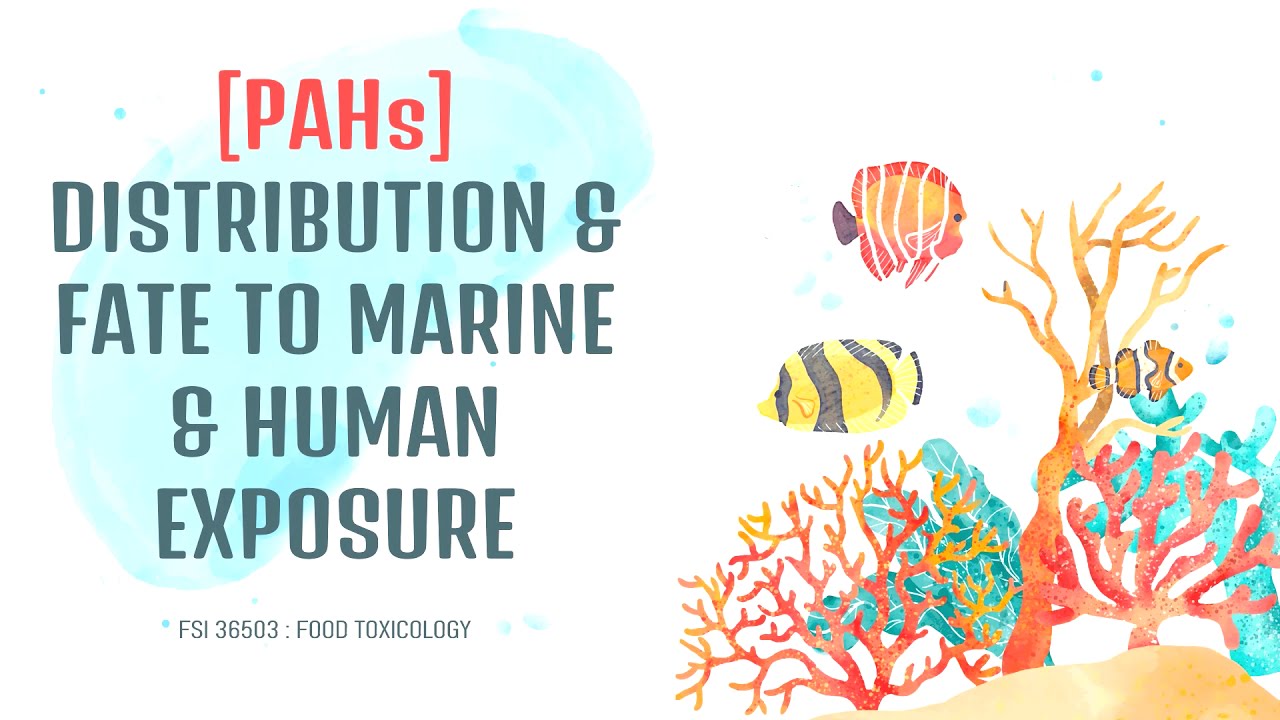 POLYCYCLIC AROMATIC HYDROCARBONS (PAHs): The Distribution and Fate to Marine & Human Exposure