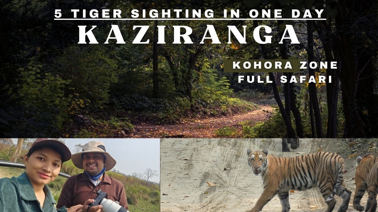 Kaziranga 2nd Safari | kohora Zone | kaziranga series