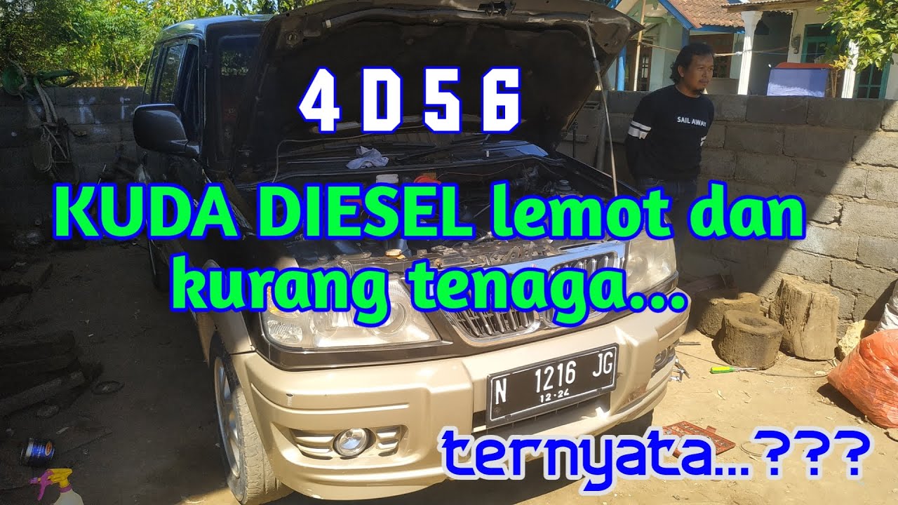 Setting kuda diesel 