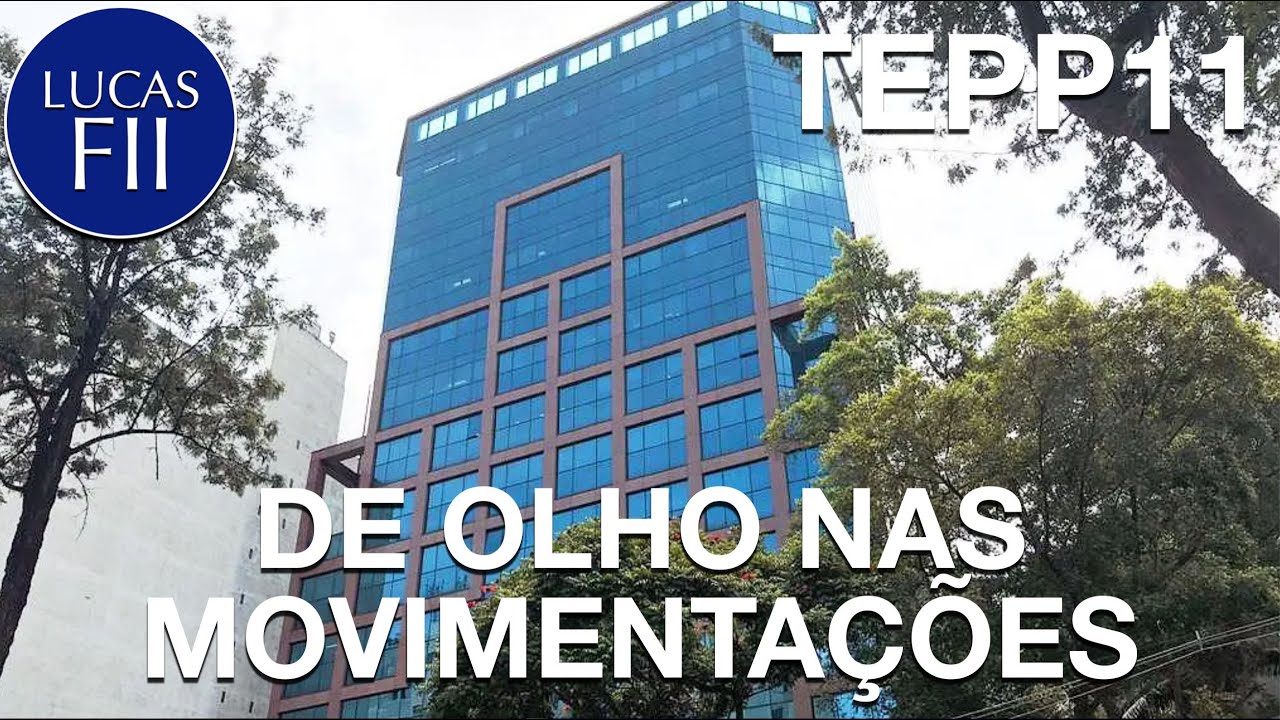 #TEPP11 - DE OLHO NAS MOVIMENTA&Ccedil;&Otilde;ES!