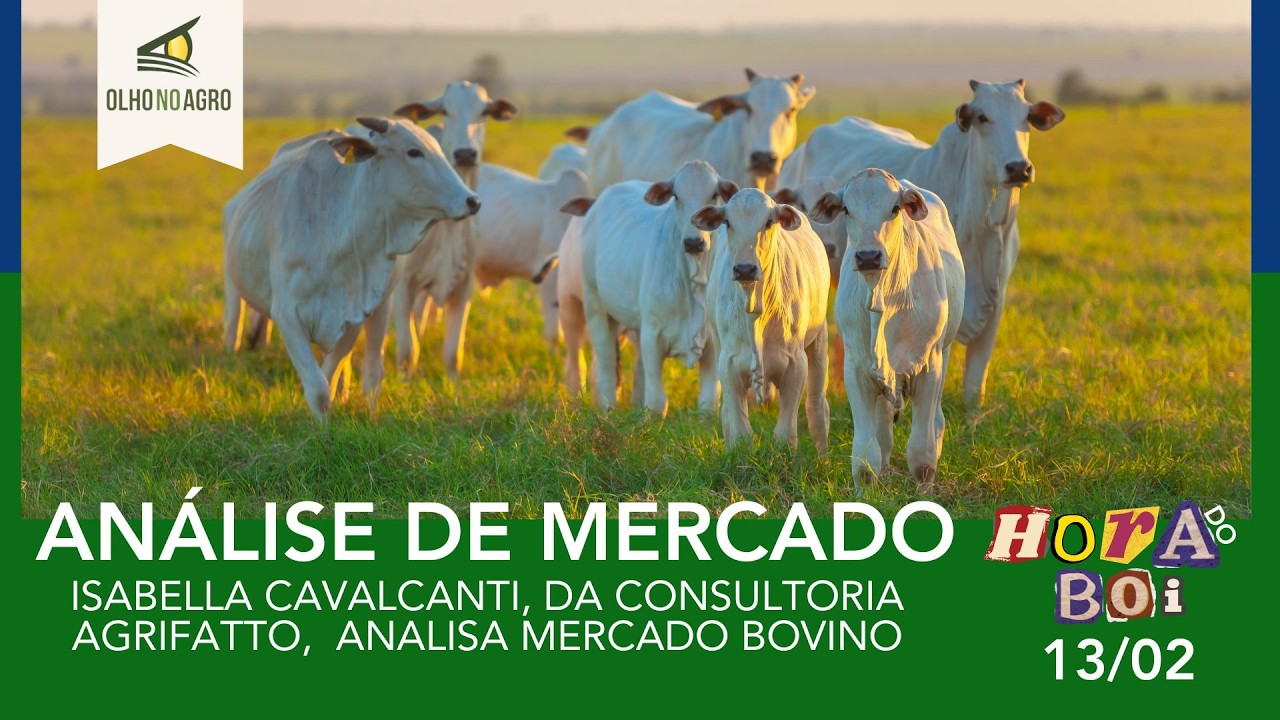 HORA DO BOI 13/02 - ISABELLA CAVALCANTI, DA CONSULTORIA AGRIFATTO,  ANALISA MERCADO BOVINO