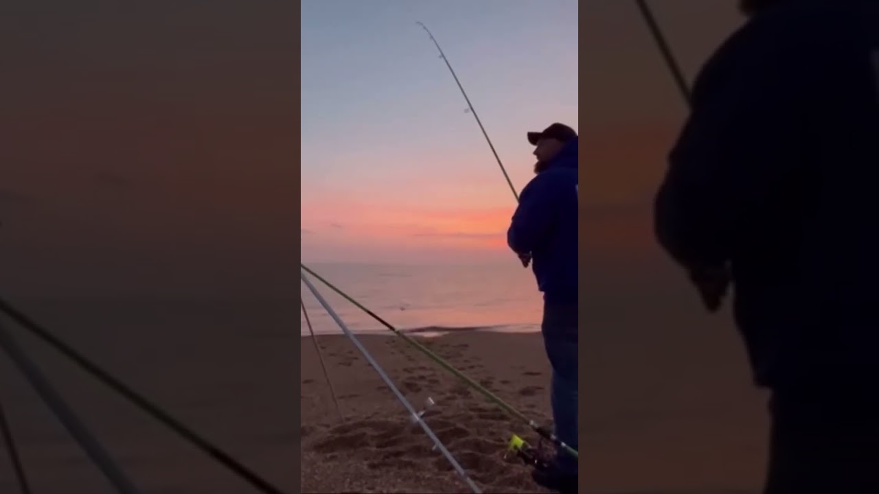 Amazing tuna sighting at the mighty Chesil Beach.