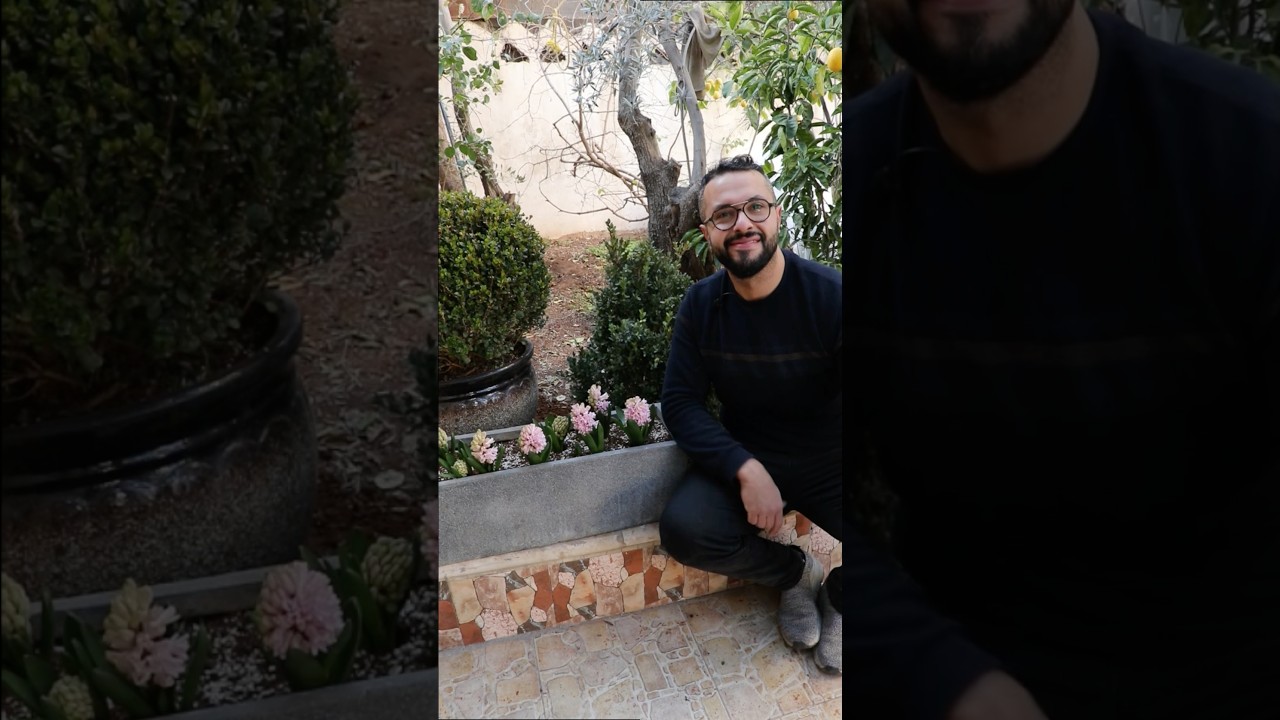 زراعة نبات شمشير هرمي قرب مدخل البيت #garden #ghaith #ghaithgarden #shorts