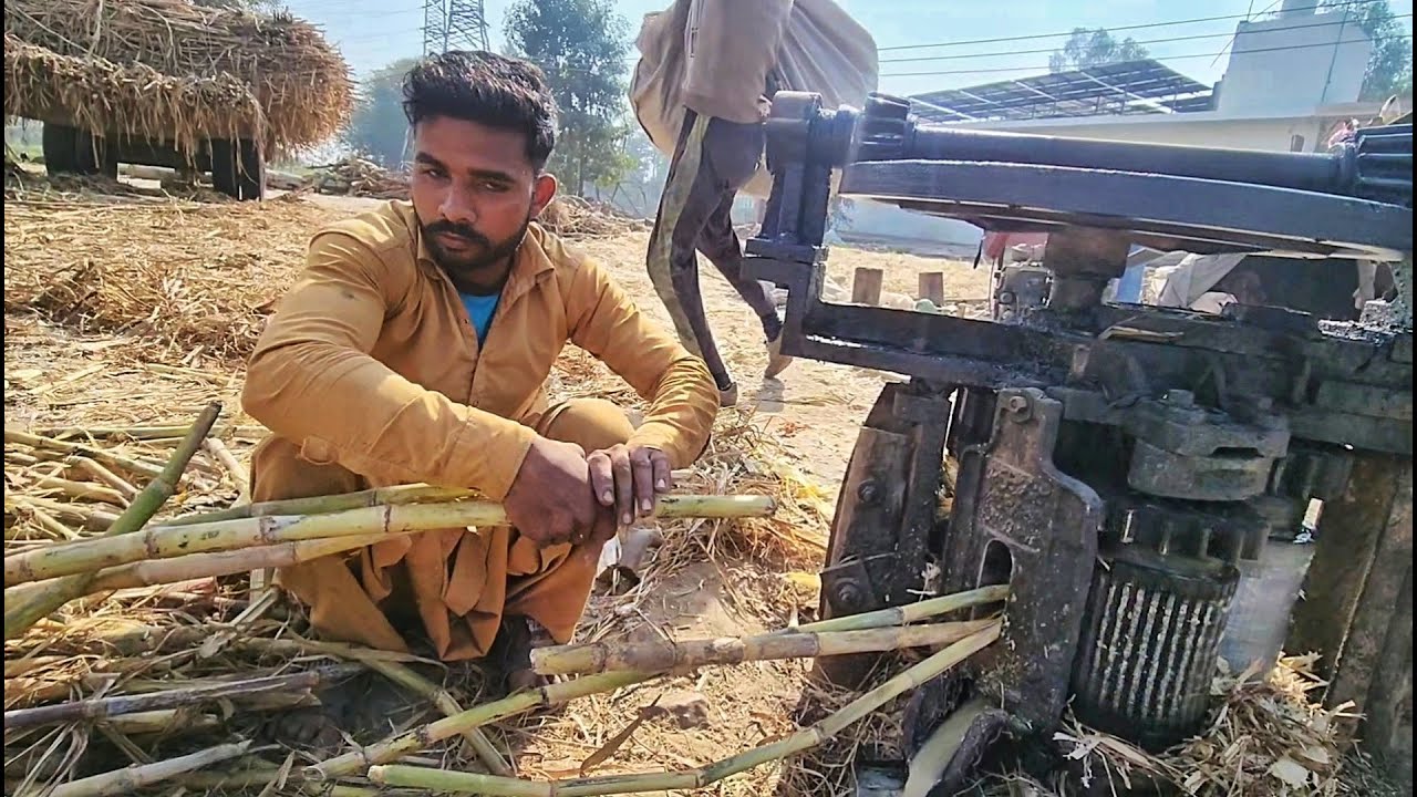 Traditional Organic Sugar Making Process | How to Make Jaggery Powder Organically