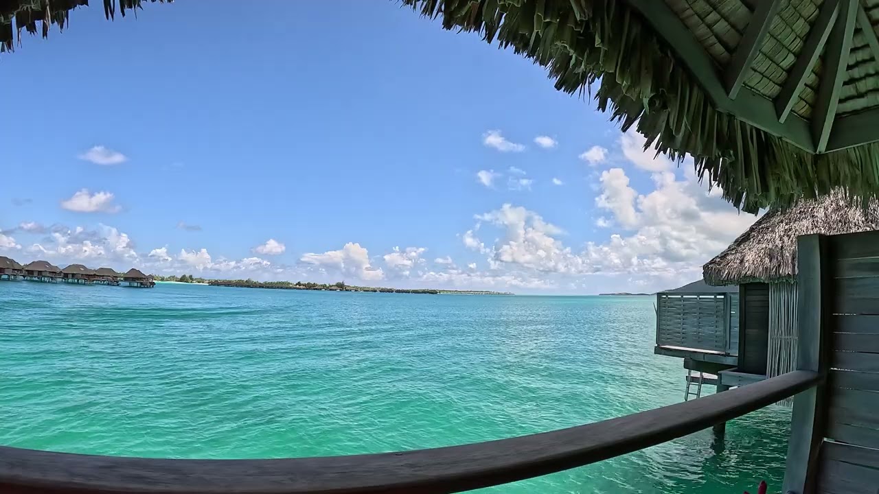 Meditation Moment. Virtual Getaway. #lifecoach #accountability, #mentalhealth #motivation #borabora