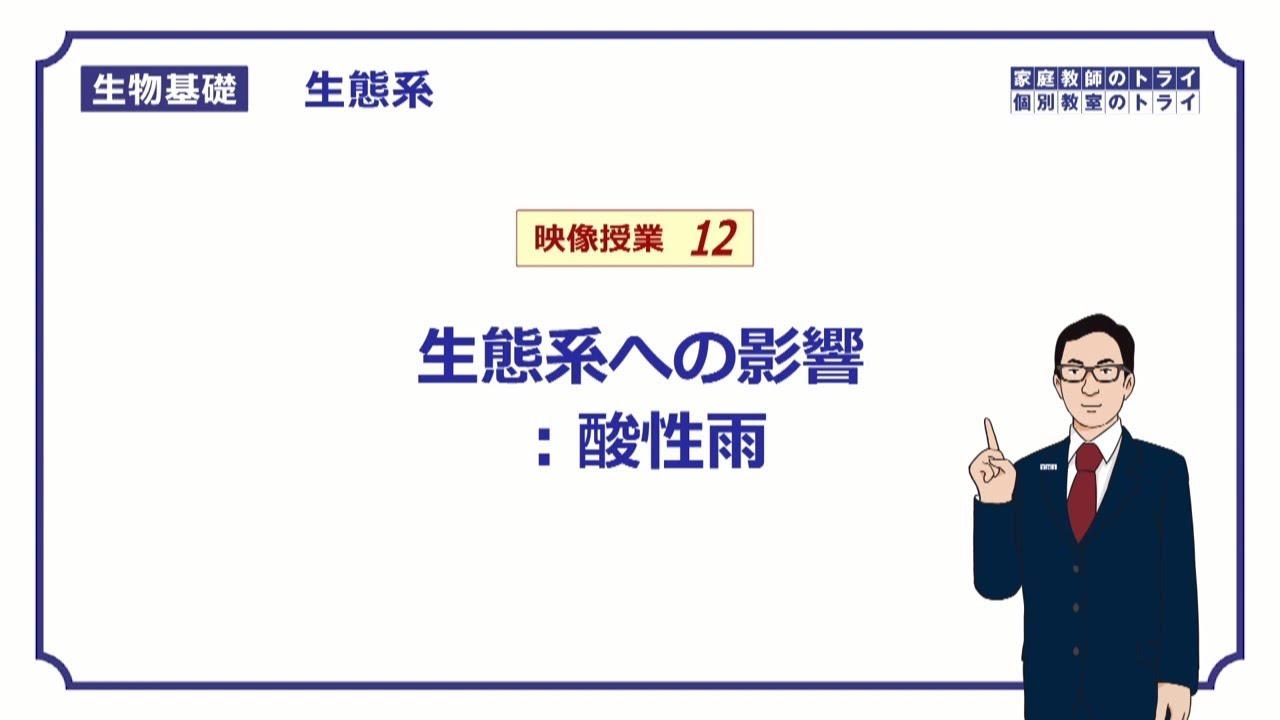 【生物基礎】　生態系12　生態系への影響：酸性雨　（１２分）