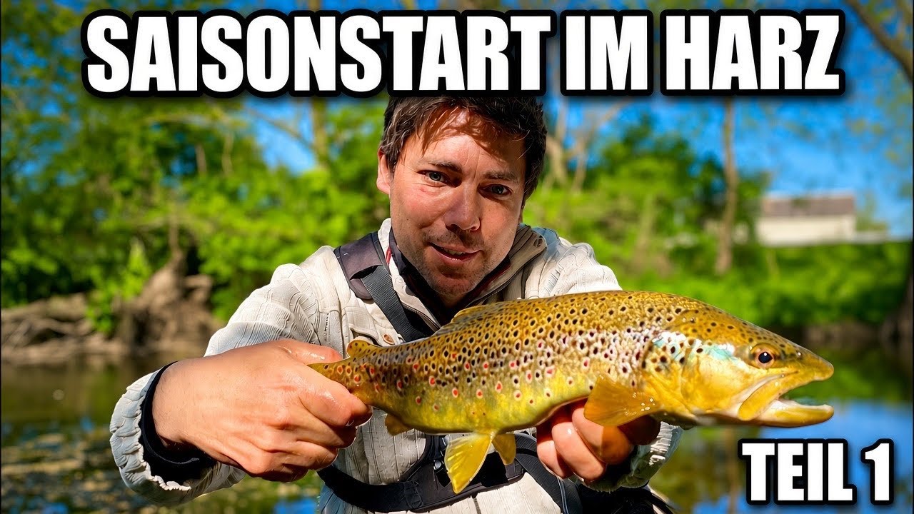 Fliegenfischen auf Bachforelle im Frühjahr Teil I - Fliegenfischen im Harz (Flyfishing browntrout)