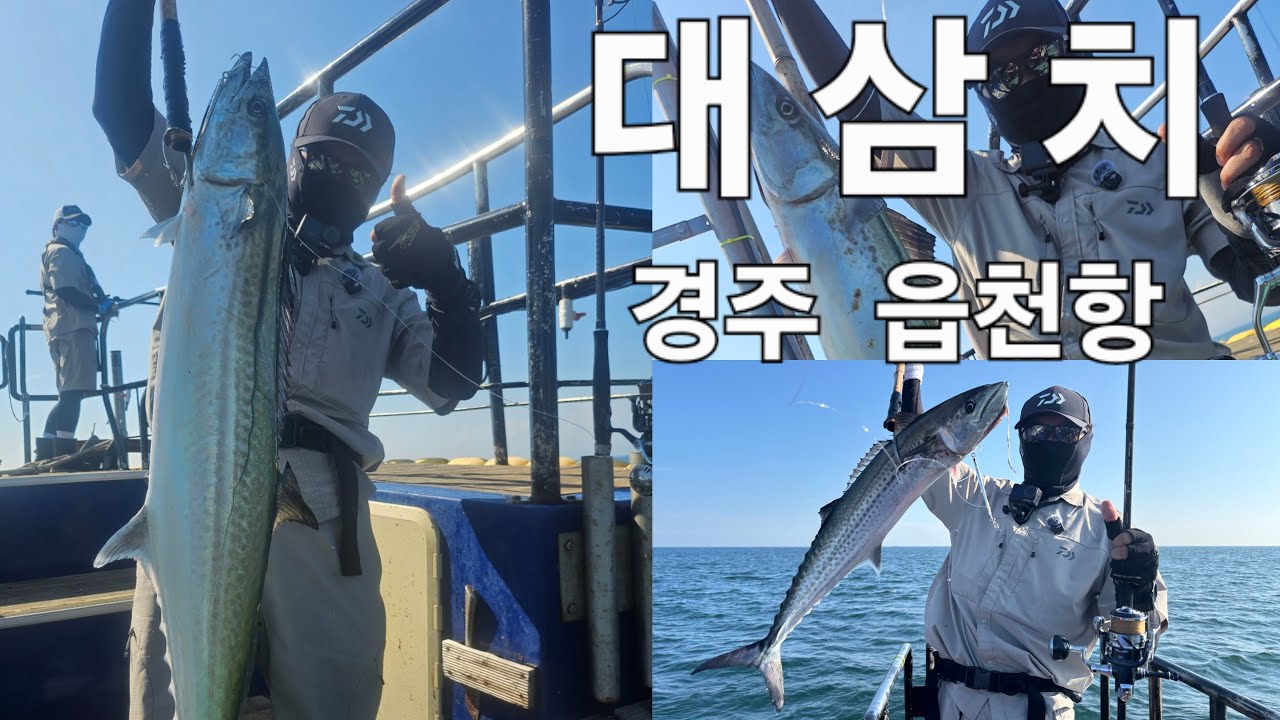 🔥첫 선상낚시 도전! 대삼치를 잡아서 먹어보자!!🔥#fishing #대삼치 #대삼치낚시 #선상낚시 #경주낚시 #루어낚시 #