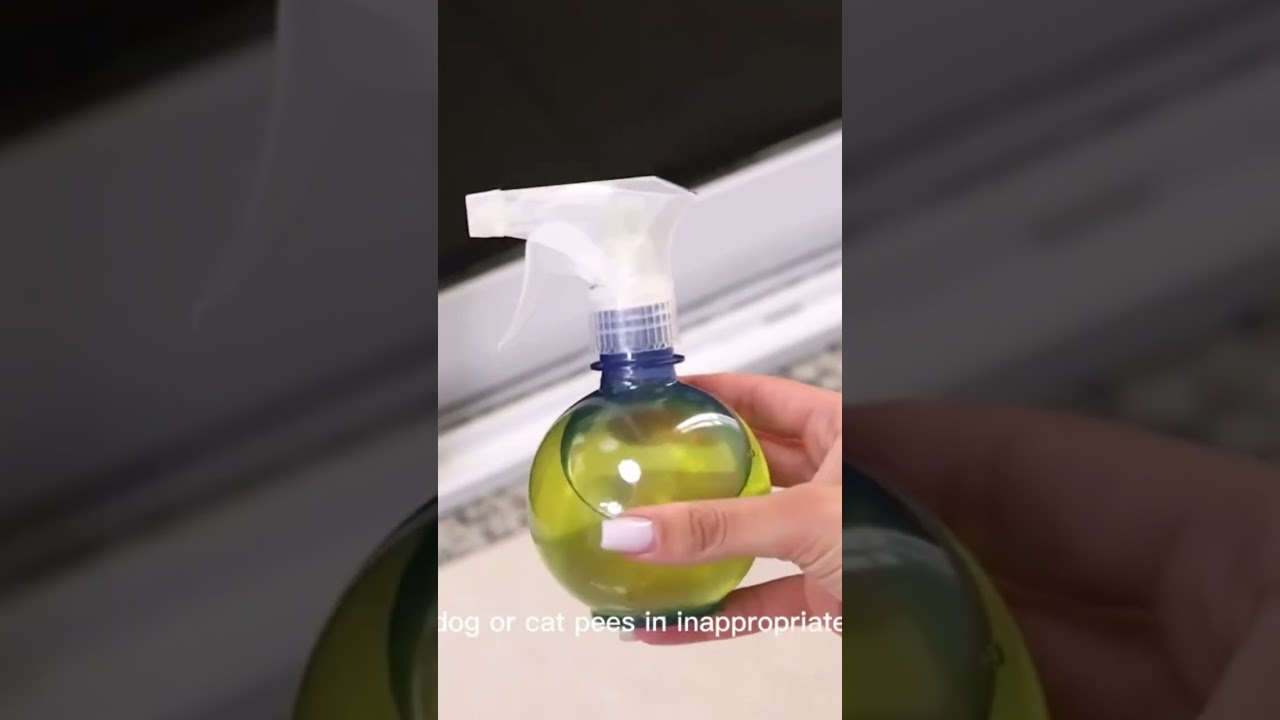 How to remove urine of dogs and cats #phnompenhrealestate #cleaning #clean #ppre #mybathroom