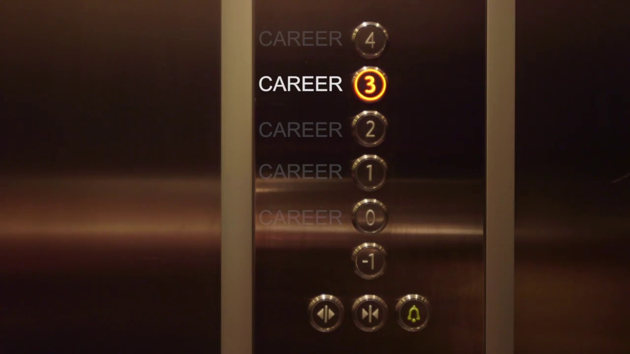 Career Service at FAU [FAU Programme]