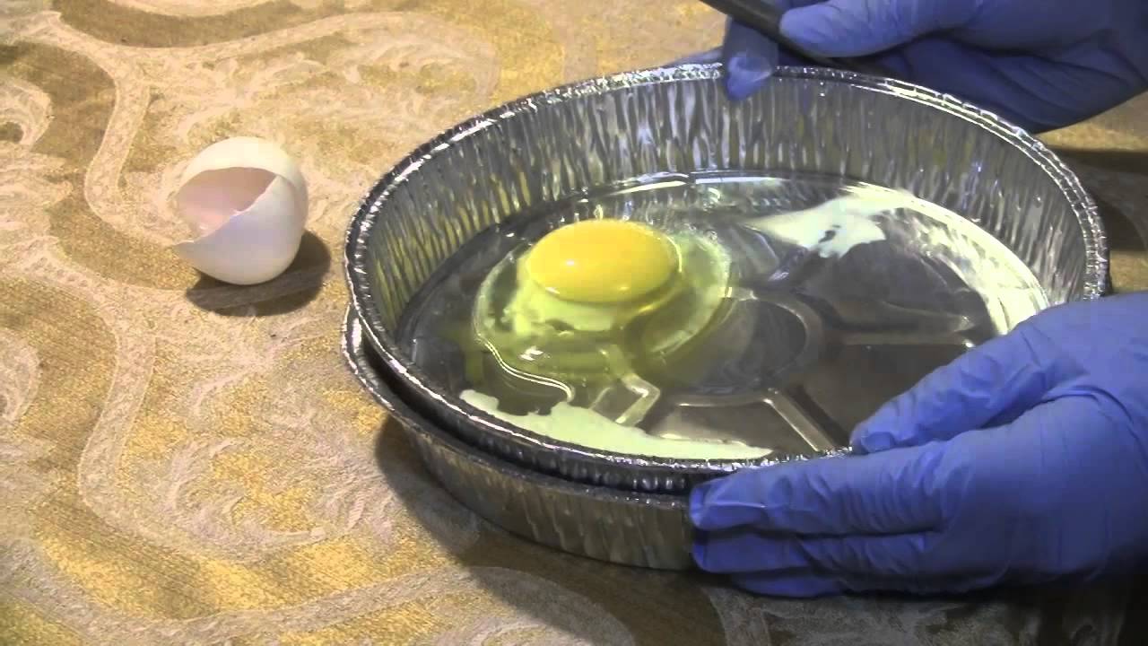 Harmony PBL: Cooking Eggs with Calcium Oxide