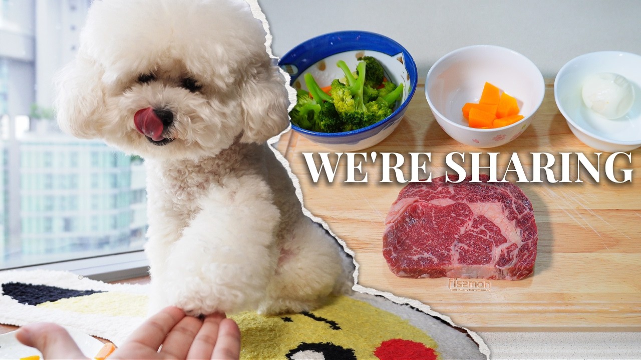 My Toy Poodle Eats What I Eat: A 4K Steak & Vegetables ASMR Feast for My Dog