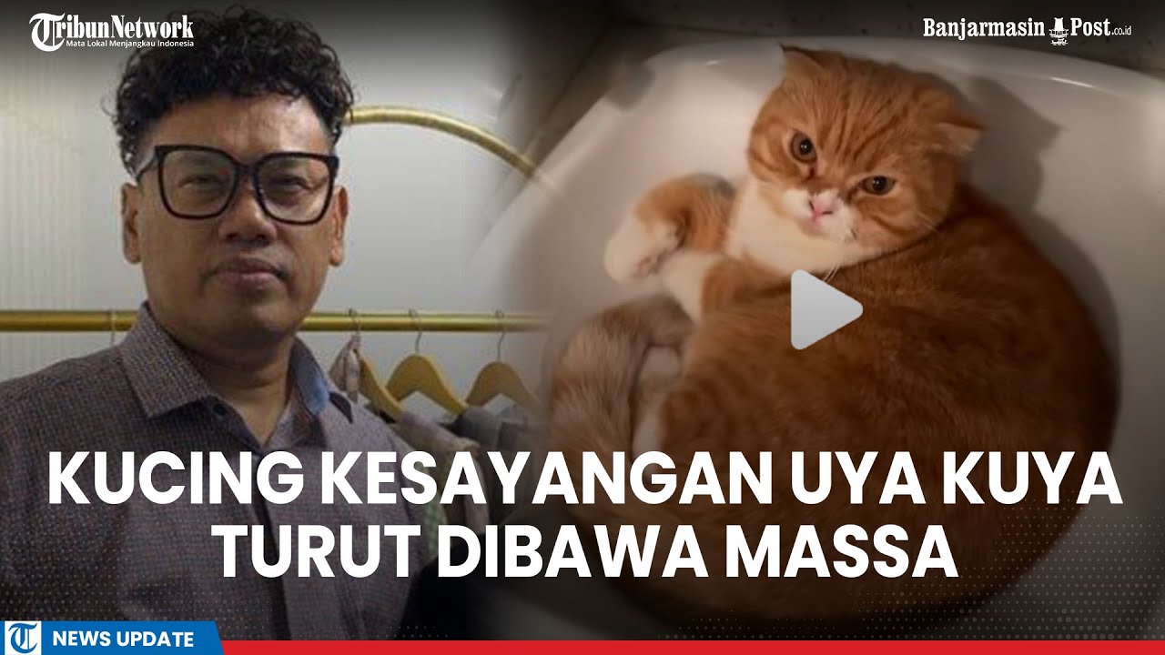 Kucing Kesayangan Uya Kuya Turut Dibawa Massa Saat Rumahnya Dijarah
