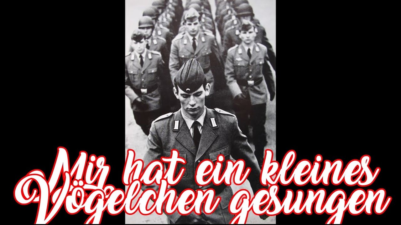 Mir hat ein kleines Vögelchen gesungen - German soldier song + English translation