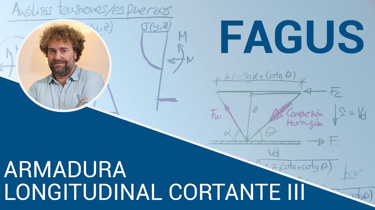 Armadura longitudinal debida al cortante (Parte 3) - Curso de diseño estructural con FAGUS-3