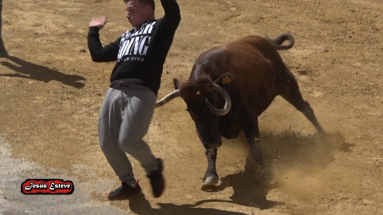 IMPRESIONANTE LA VACA DE ASENSI EN BENIFAIRO 24-03-2018