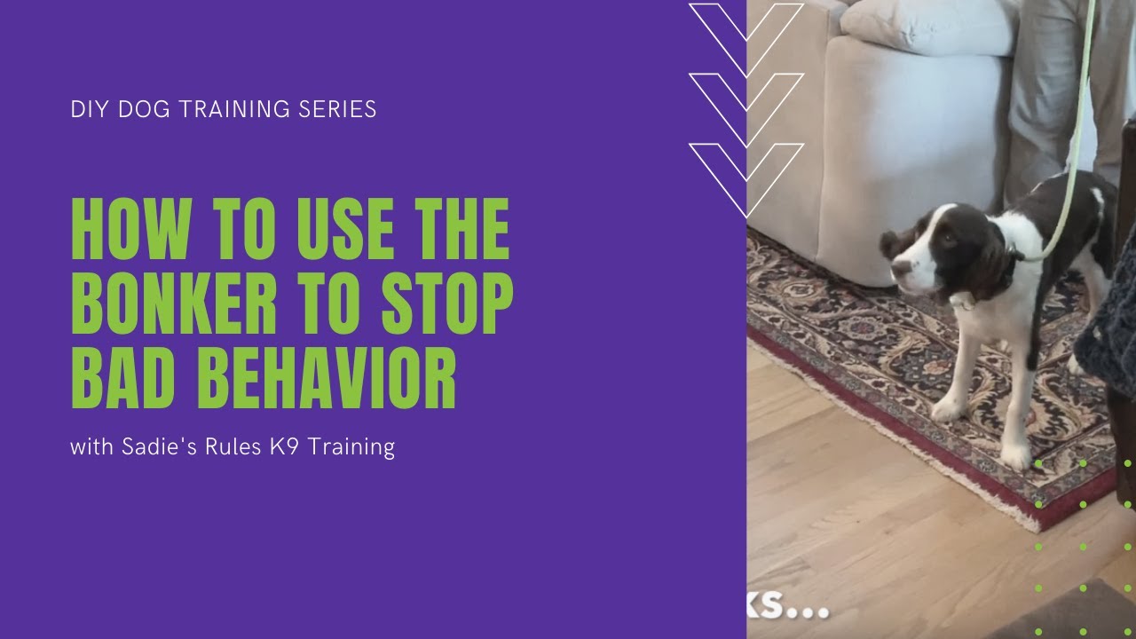 How to use the bonker to stop bad dog behavior