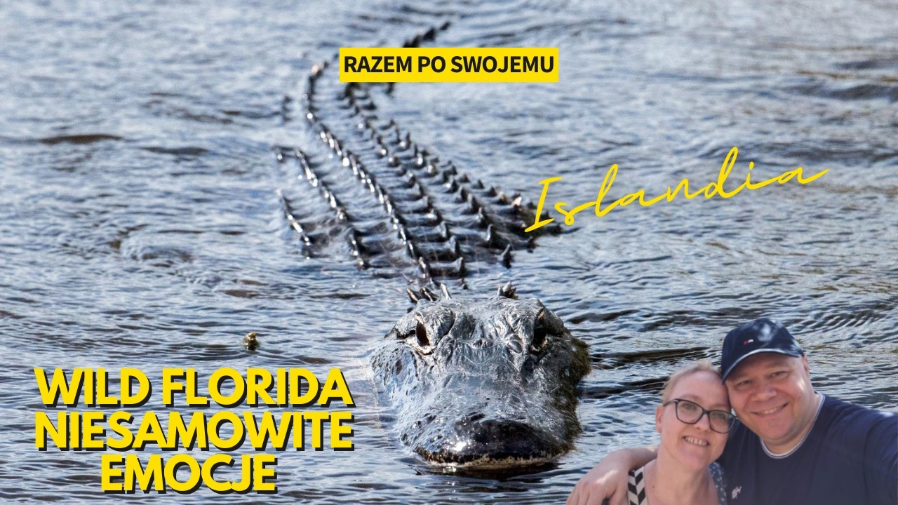 Airboat Wild Florida