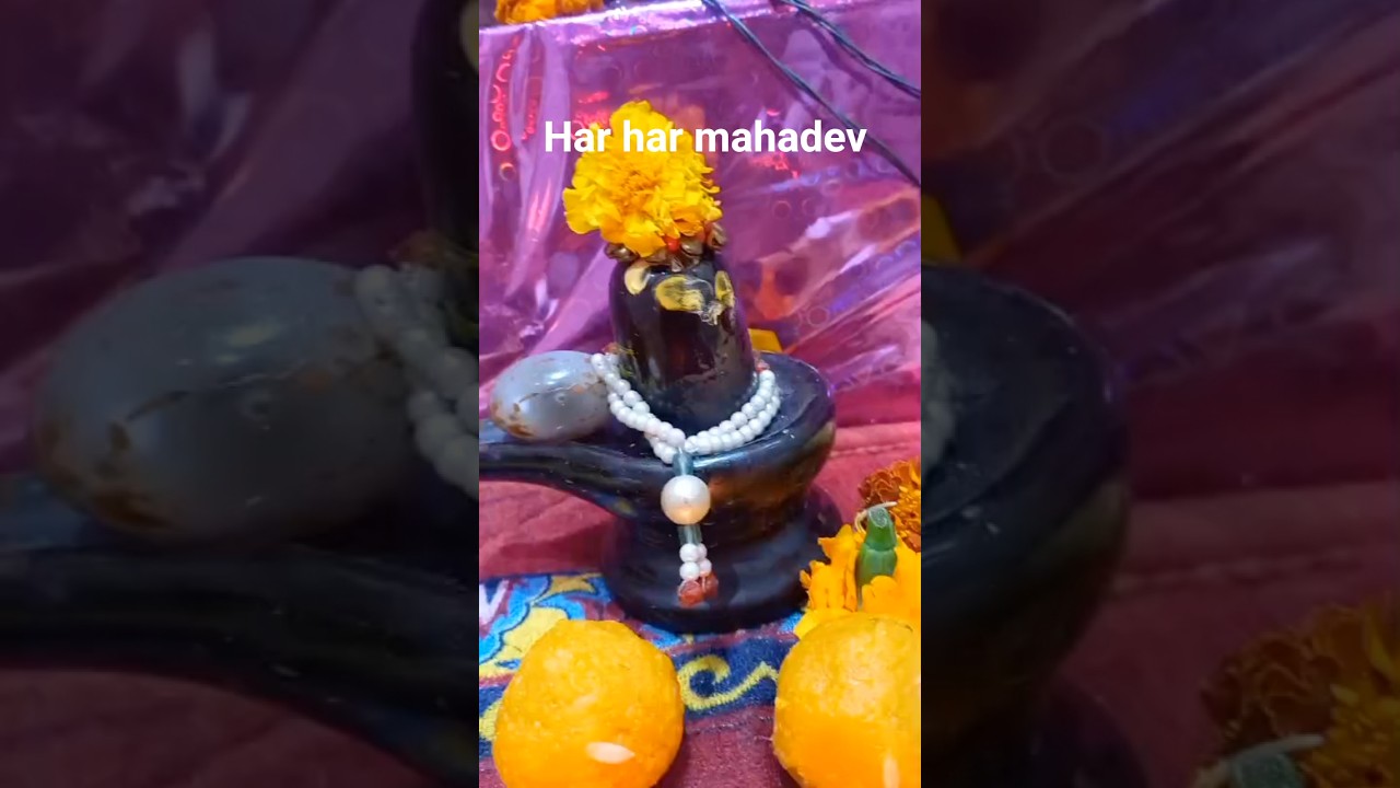 Har har mahadev 🙏🌹🕉️.