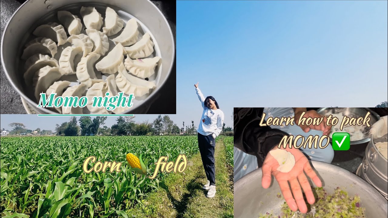 Days in Nepal🇳🇵learn to make momo✨corn field 🌽