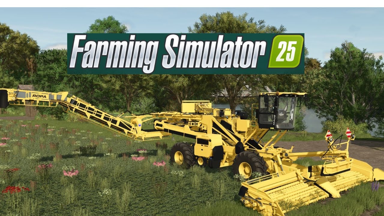 LS25 | XXL Farm (Rüben verladen mit Ropa Rübenmaus) | 💰XXL Rübenfarm #002💰 | Farming Simulator