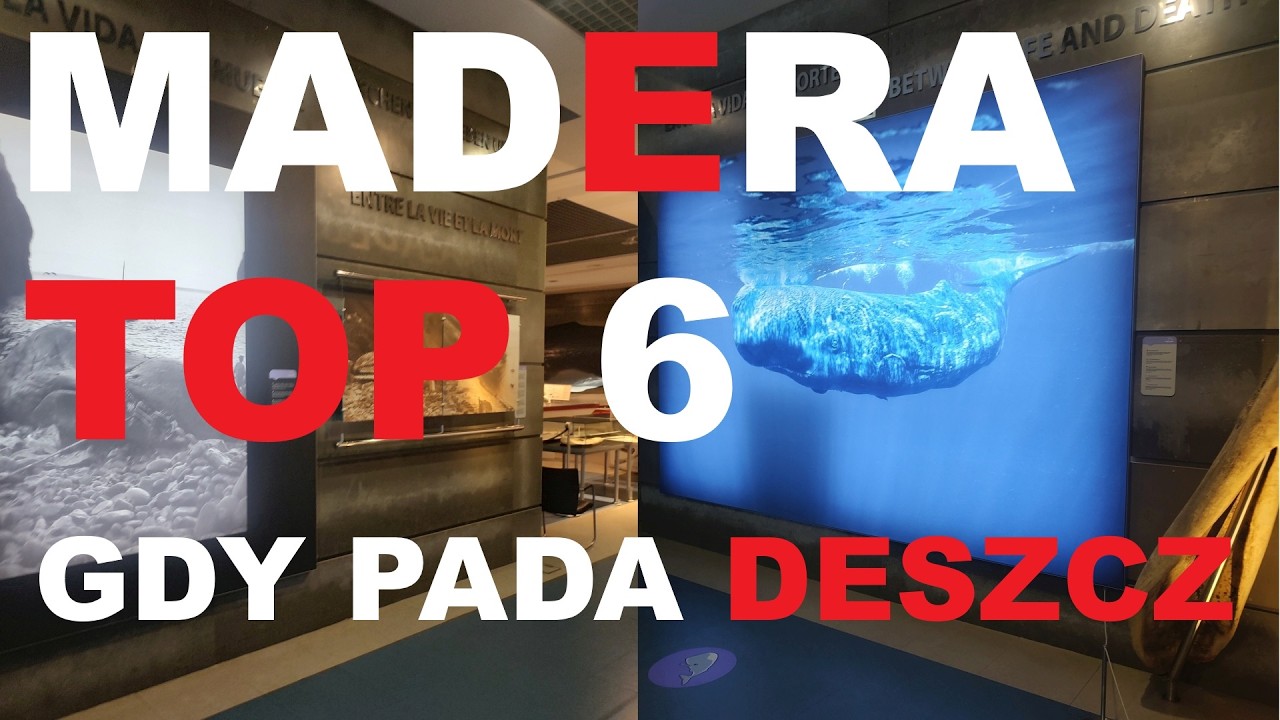 Madera gdy pada deszcz - TOP 6 atrakcji - co robić gdy na Maderze jest zła pogoda, muzea pod dachem.
