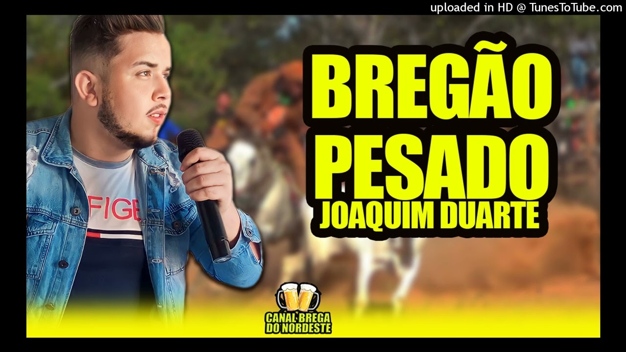 JOAQUIM DUARTE - SAIBA QUE EU TE AMO DEMAIS ( BREGÃO DOS BONS )