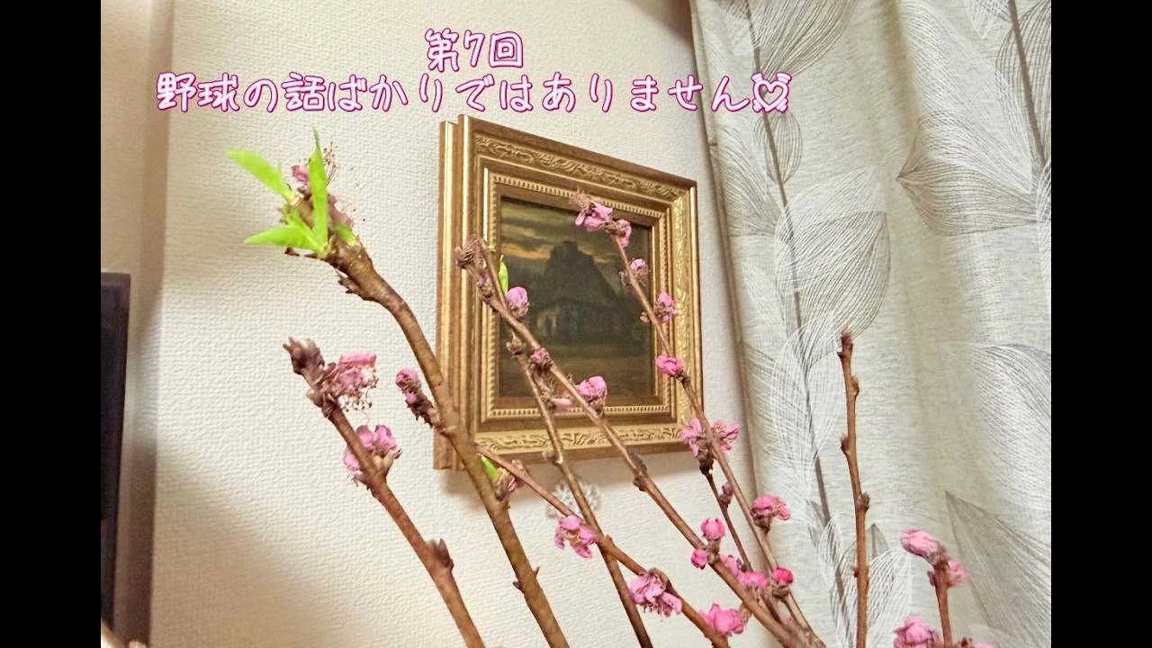 第7回　野球の話ばかりではありません