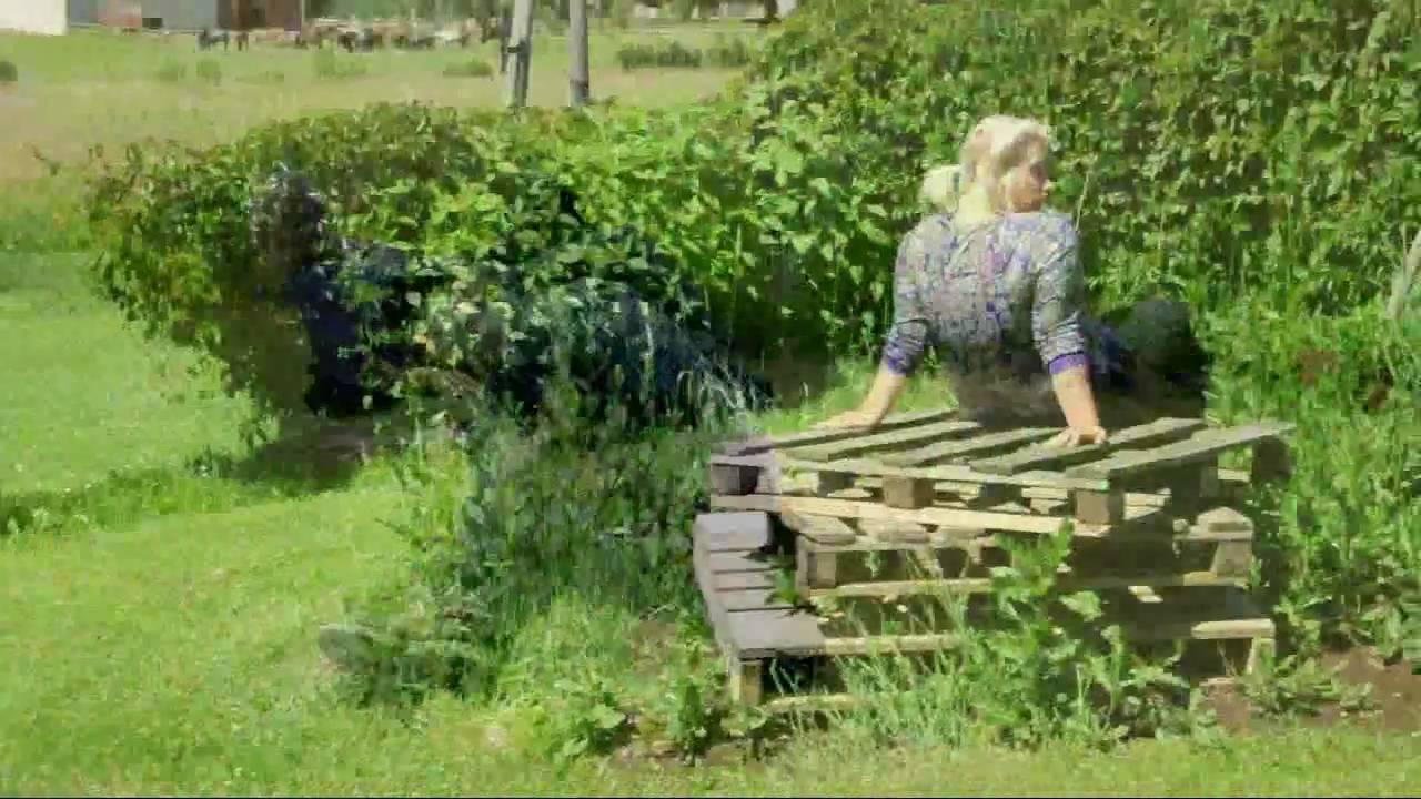 Maijpuķītes - Baiba, Baiba (J.Bieber - baby parody)