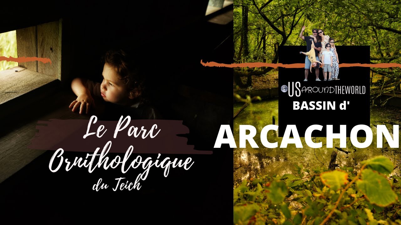 ARCACHON VLOG 8 | LE PARC ORNITHOLOGIQUE DU TEICH EN FAMILLE | QUE FAIRE &agrave; ARCACHON ?