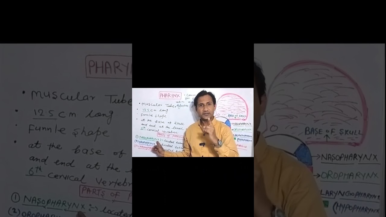 Nasopharynx In Hindi#shorts#viralvideo#viralshorts