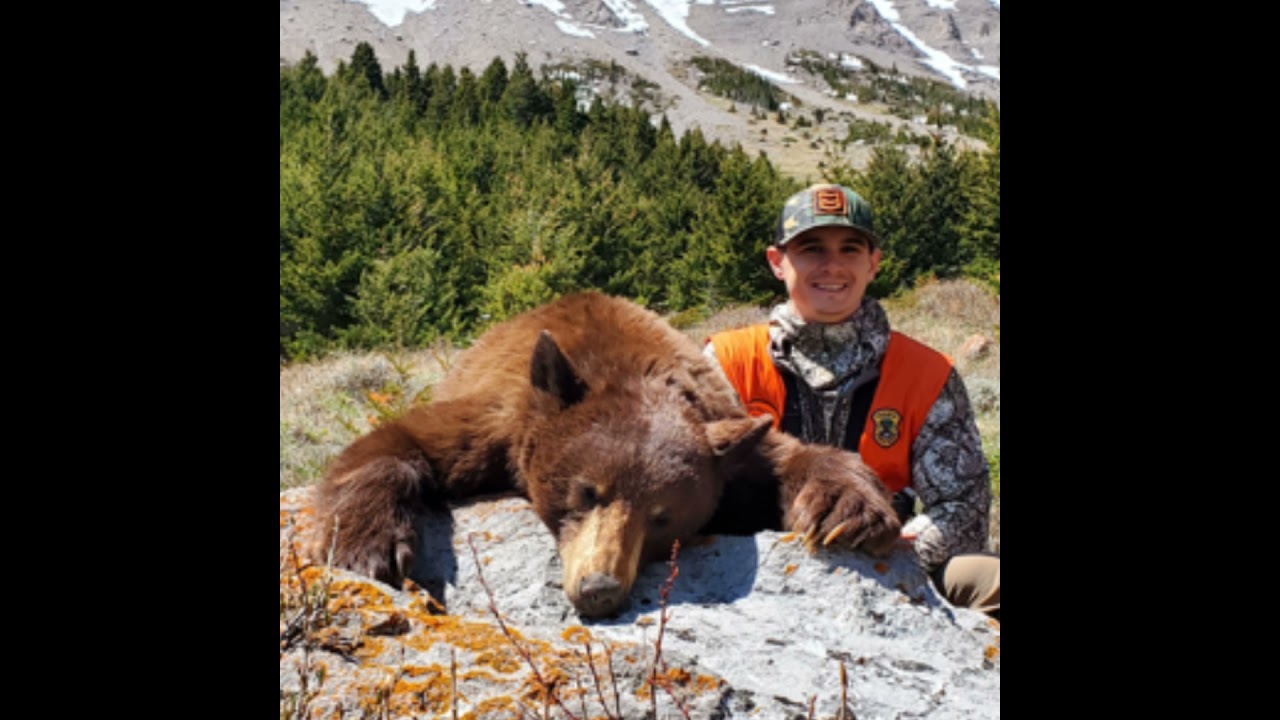 Finding Spring Bears: How a Hunting Guide Plans for Success