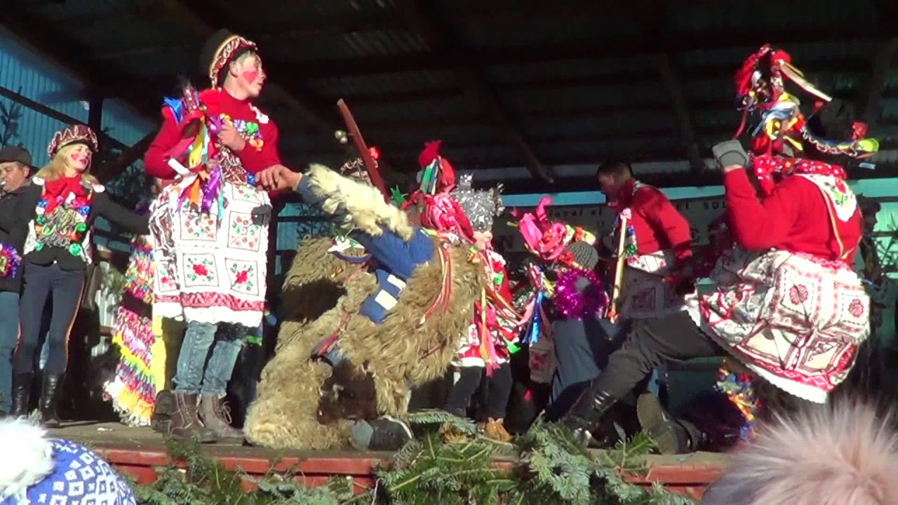 Capra de la Sarata-Solonț (Bacău)  31 decembrie 2016