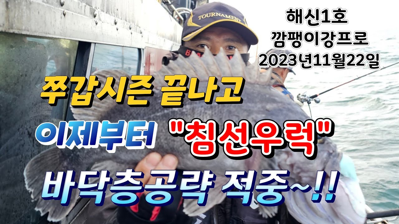 쭈갑시즌 끝나고 이제는 