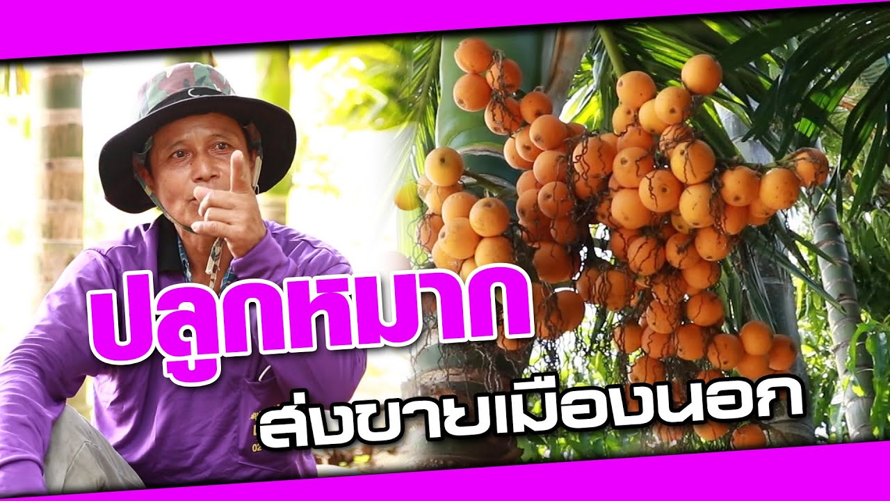 พืชมหัศจรรย์ 