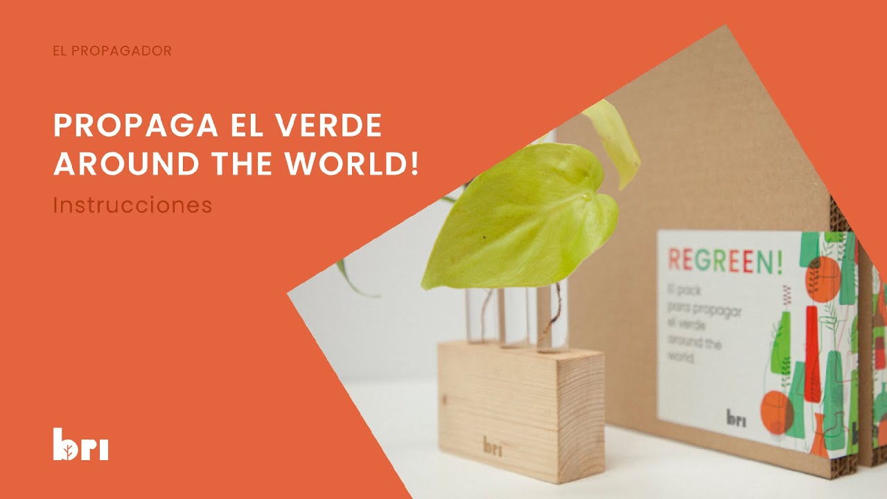 El Propagador - Instrucciones para hacer esquejes