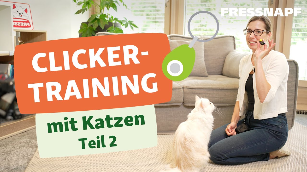 Clickertraining mit Katzen Teil 2/2