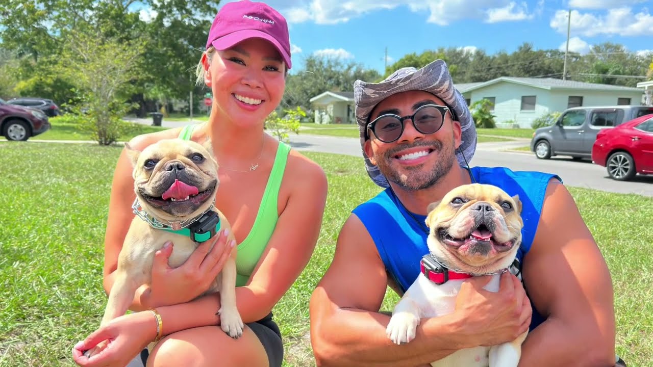 Two Explosively Reactive French Bulldogs Transformed In 3 Weeks