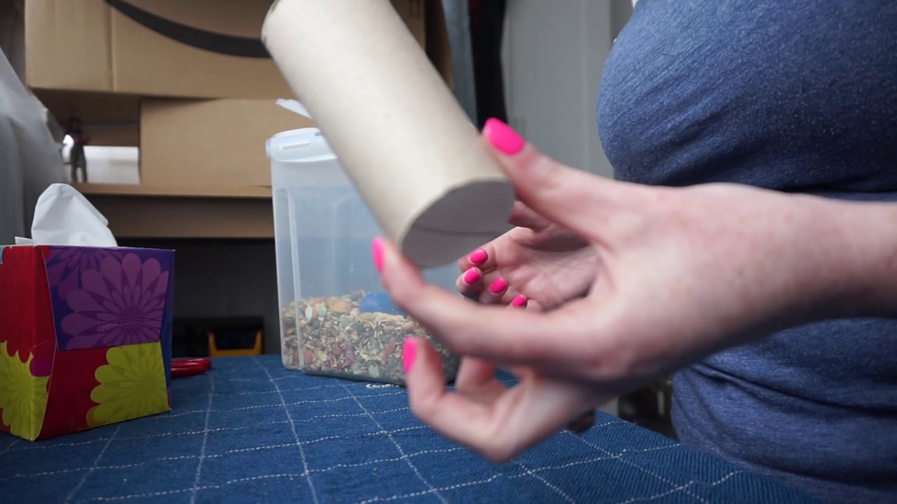 5 Easy DIY Rat Toys Using Toilet Roll Tubes